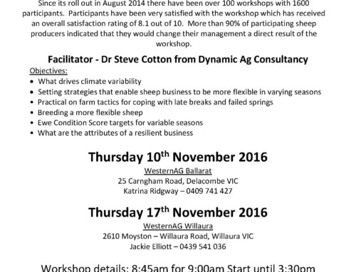 Upcoming More Lambs More Often workshop